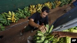 Cuba importa la mayor parte de los alimentos que consume por valor de más de $1.500 millones de dólares al año.