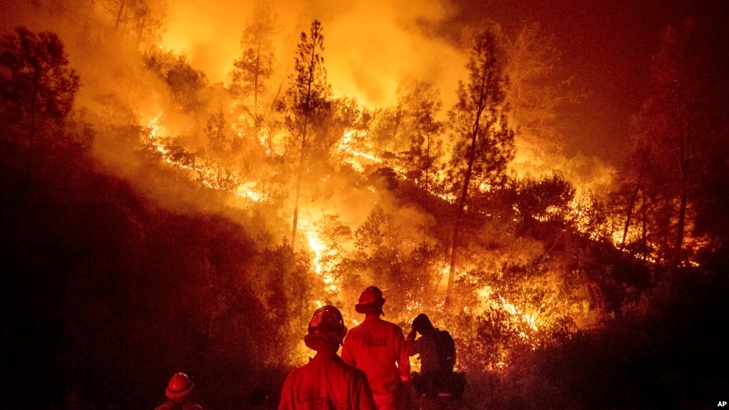 ÐаÑÑинки по запÑоÑÑ california fire