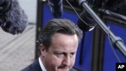 Britain's Prime Minister David Cameron, October 23, 2011.