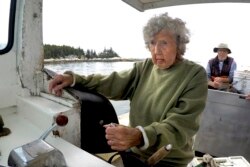 Virginia Oliver (101 tahun), mengemudikan kapal putranya Max Oliver, Selasa, 31 Agustus 2021, di lepas pantai Rockland, Maine. Oliver adalah nelayan lobster tertua di negara bagian dan mungkin yang tertua di dunia. (AP Photo/Robert F. Bukaty)