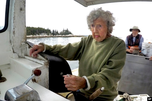 Virginia Oliver (101 tahun), mengemudikan kapal putranya Max Oliver, Selasa, 31 Agustus 2021, di lepas pantai Rockland, Maine. Oliver adalah nelayan lobster tertua di negara bagian dan mungkin yang tertua di dunia. (AP Photo/Robert F. Bukaty)