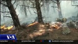 Zjarret në pyjet e Shqipërisë