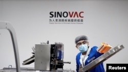 FILE - A man works in the packaging facility of Chinese vaccine maker Sinovac Biotech, developing an experimental coronavirus disease (COVID-19) vaccine, in Beijing, China, Sept. 24, 2020.