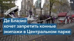 Мэр Нью-Йорка опять хочет запретить конные экипажи в Центральном парке