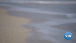 Volunteer Group Helps Clean Miami Beaches