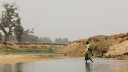 Inondations: 4 milliards de FCFA de pertes pour la culture du riz