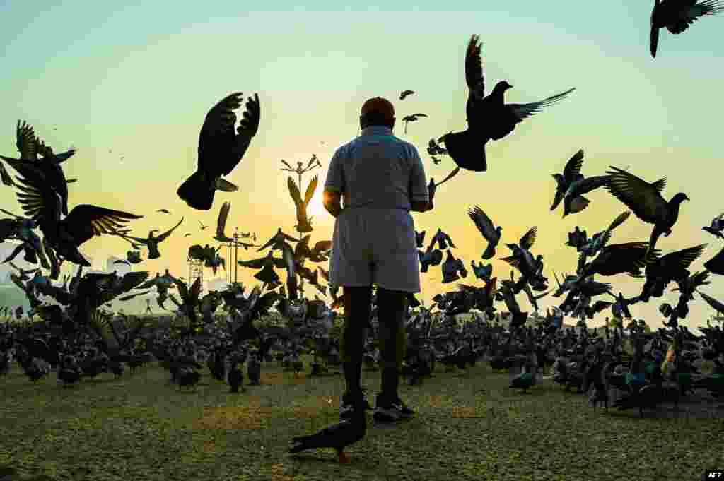 A man feeds pigeons at sunrise in Mumbai on November 26, 2020. (Photo by Punit PARANJPE / AFP)