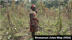 Une femme dans un champ au village Mbondjo II, dans le Littoral, le 28 décembre 2020.