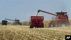 Combines, costing several hundred thousand dollars each, harvest corn at the Husker Harvest Days fair, Grand Island, Neb., Sept. 15, 2010.