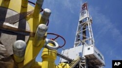 A well is seen at test drilling site Markowola-1 near Kozienice, central Poland, where Poland's gas monopoly PGNiG hopes to find large amounts of shale gas, July 9, 2010