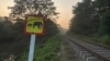 A sign warning of wild elephants is placed near the site where a passenger train hit a herd and killed six elephants in Minneriya, Sri Lanka, Feb. 20, 2025.