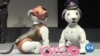 Sony présente son "robot-chien" de surveillance