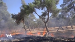 Daristana Kobanîyê li Jêr Gefeyên Jîngehê