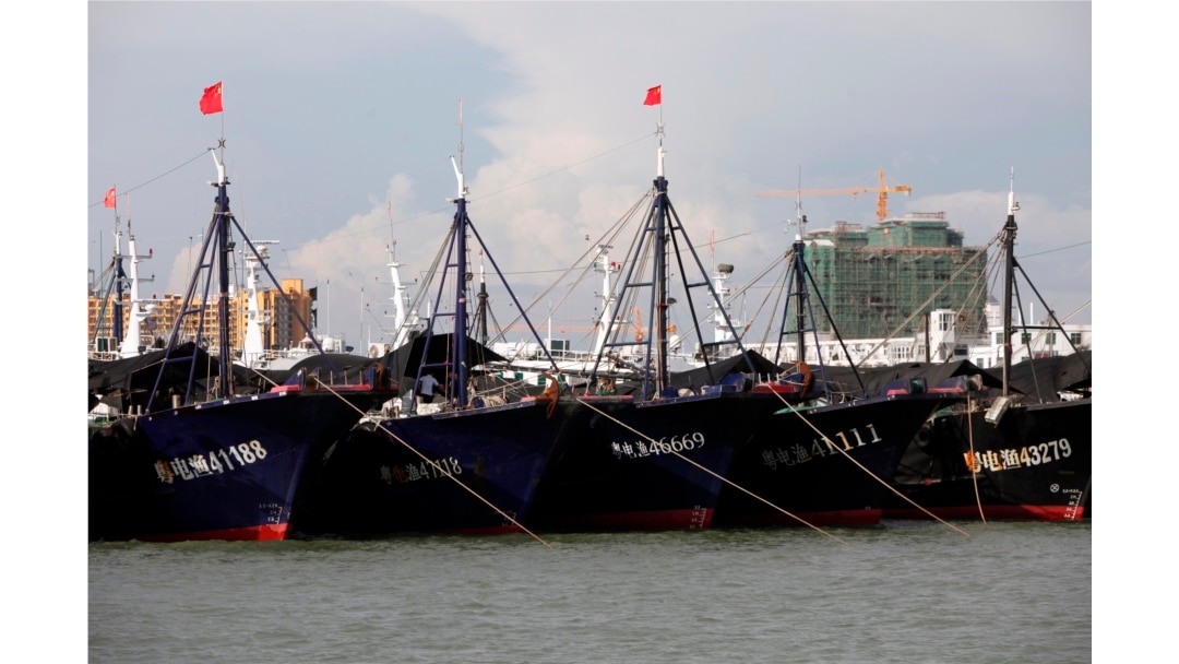 Kapal-kapal ikan China di pelabuhan Dongfang, di Provinsi Hainan, 18 Juni 2014. (Foto: Reuters)