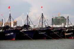 Kapal-kapal ikan China di pelabuhan Dongfang, di Provinsi Hainan, 18 Juni 2014. (Foto: Reuters)