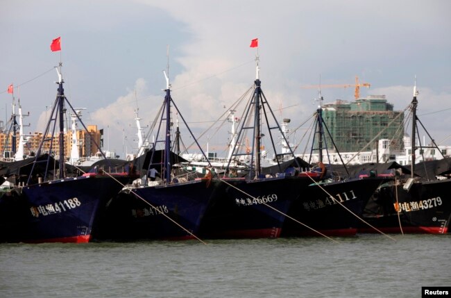 Kapal-kapal ikan China di pelabuhan Dongfang, di Provinsi Hainan, 18 Juni 2014. (Foto: Reuters)