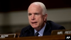 FILE - Senate Armed Services Committee Chairman Sen. John McCain, R-Ariz.