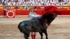 Spain’s Matadors Fight Back After COVID-19 Nearly Kills Their Art