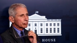 Anthony Fauci