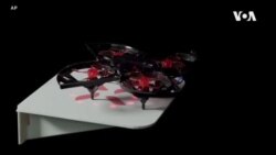 Netherlands Drones vs Moths -- USAGM