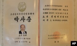 조지 바이탈리 씨의 박사증