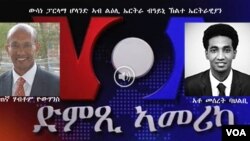 ውሳነ ፓርላማ ሆላንድ ኣብ ልዕሊ ኤርትራ ብዓይኒ ኽልተ ኤርትራዊያን