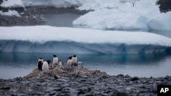 APTOPIX Antarctica Glacial Melting