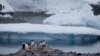 Arctic, Antarctic Sea Ice Extent Hits Record Low