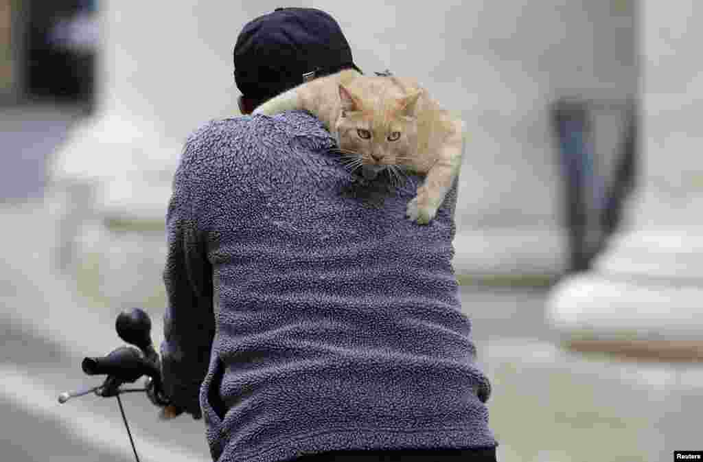 A man rides his bicycle with a cat on his shoulder near Saint Peter&#39;s Square in Rome, Italy, Mar. 7, 2013. 