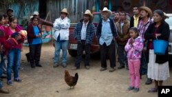 FILE - Villagers gather to talk with Associated Press journalists about their communities and dependence on growing opium to make a living in the Sierra Madre del Sur mountains of Guerrero state, Jan. 26, 2015. Many farmers say they would like to give up poppy cultivation and plant legitimate crops, in part because of the bloodshed the trade has brought to their state.