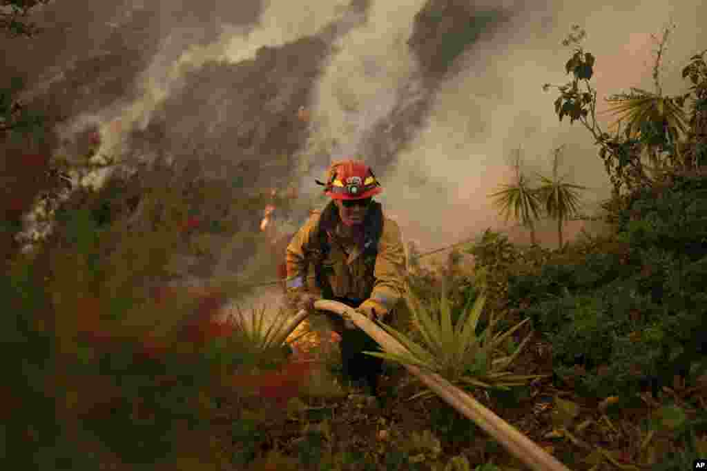 A firefighter sets up a hose while fighting the Palisades Fire in Mandeville Canyon, Jan. 11, 2025, in Los Angeles.