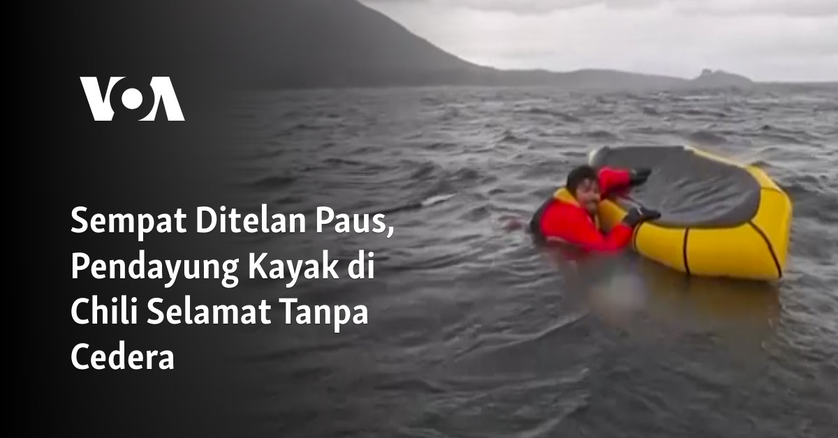 Sempat Ditelan Paus, Pendayung Kayak di Chili Selamat Tanpa Cedera