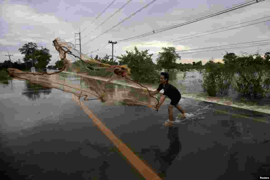 A man casts a fishing net on a flooded street at Srimahaphot district in Prachin Buri, Thailand. More than 600,000 Thais have been affected by flooding since July and more than a quarter of Thailand's provinces have been inundated.