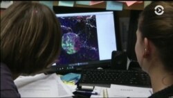 Ученые обнаружили, что белок, способствующий росту нейронов, также стимулирует выработку инсулина в поджелудочной железе