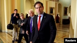 Senatè Repibliken eta Florid, Marco Rubio