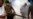 WHO Calls on Asia to Guard Against Zika