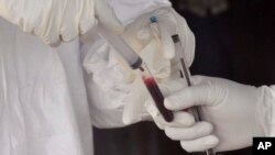 Petugas kesehatan mengambil sampel darah penderira ebola di Monrovia, Liberia tahun 2015 (foto: dok). Antibodi yang bisa menetralisir virus Ebola itu, diperoleh dari darah orang yang selamat dari wabah Ebola di Afrika Barat.