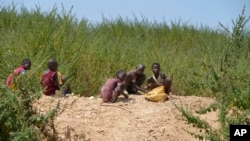 Juliet Samaniya, 6 ans, ébrèche une pierre avec d'autres enfants sur un site d'extraction illégale de lithium à Paseli, au Nigeria, le mardi 5 novembre 2024. (AP/Sunday Alamba)