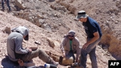 FILE - This handout picture released by the Universidad de Chile shows a group of scientists working in the field to retrieve pterosaur fossils in the Atacama Desert in northern Chile, on Aug. 11, 2013. 