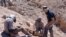 FILE - This handout picture released by the Universidad de Chile shows a group of scientists working in the field to retrieve pterosaur fossils in the Atacama Desert in northern Chile, on Aug. 11, 2013. 