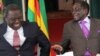 10 Candidates to Contest Zimbabwe Presidential Election
