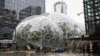 Amazon.com Opens Its Own Rainforest in Seattle