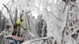 A worker cuts ice-covered branches with a chainsaw in Postojna, Slovenia. Cars stood entombed in a crystal-like casing near the deserted railway station in Postojna.