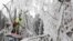 A worker cuts ice-covered branches with a chainsaw in Postojna, Slovenia. Cars stood entombed in a crystal-like casing near the deserted railway station in Postojna.