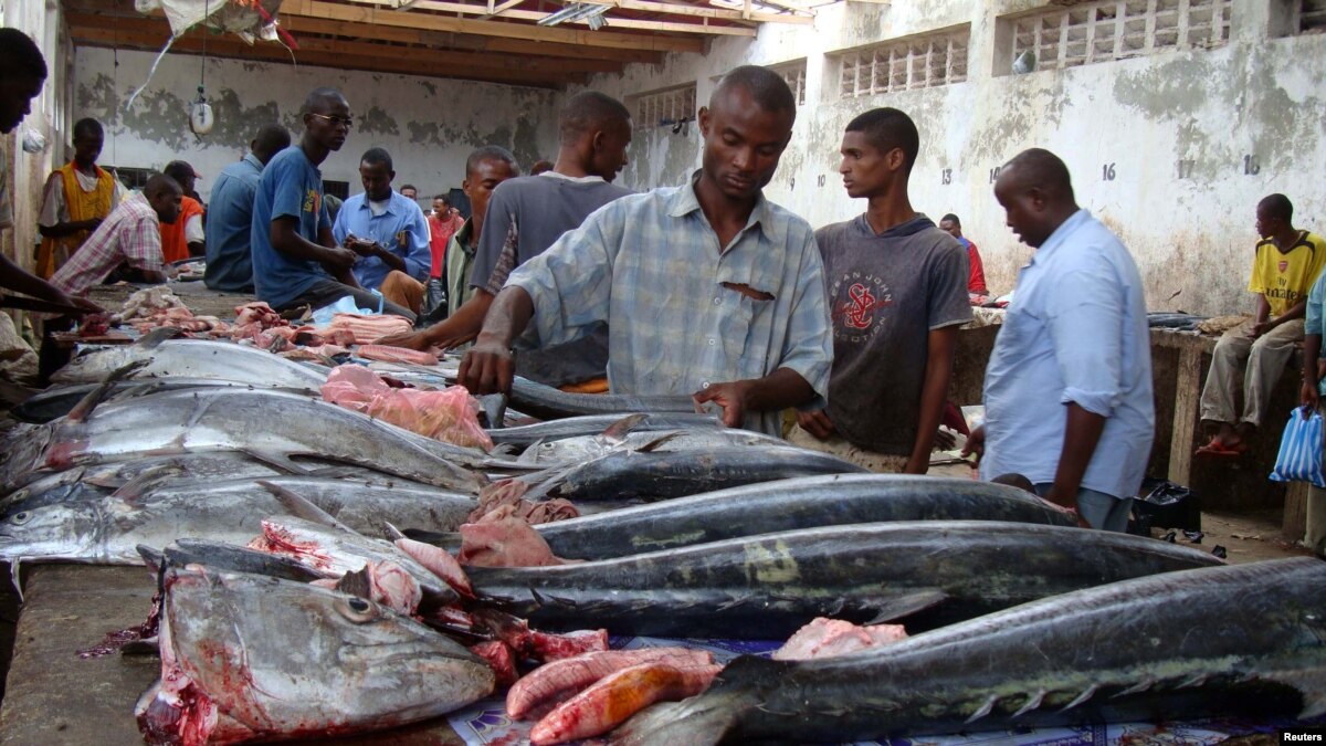 Rise in Illegal Fishing Threatens to Revive Somalia Piracy