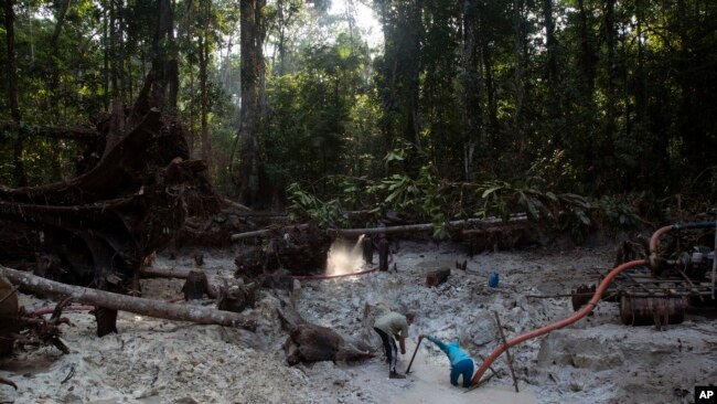 FILE - Men search for gold at an illegal gold mine in the Amazon jungle in the Itaituba area of Para state, Brazil, Aug. 21, 2020.