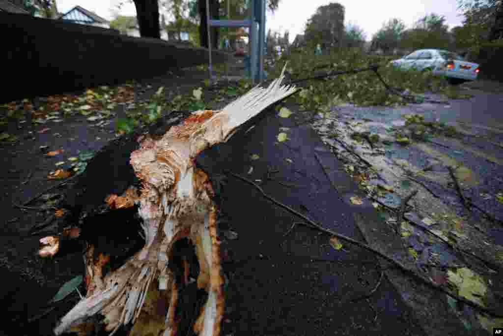 Cabang pohon yang jatuh menutupi sebagian trotoar dan jalan di London (28/10). (AP/Lefteris Pitarakis)