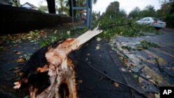 Batang pohon yang jatuh dan menghalangi trotoar dan jalan di London (28/10). (AP/Lefteris Pitarakis)