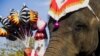 Gajah di Ayutthaya, Thailand, 23 Desember 2022. Thailand pada Rabu (13/3) merayakan Hari Gajah Nasional. (Foto: REUTERS/Chalinee Thirasupa)