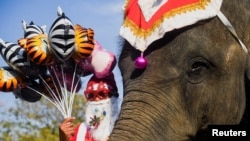 Gajah di Ayutthaya, Thailand, 23 Desember 2022. Thailand pada Rabu (13/3) merayakan Hari Gajah Nasional. (Foto: REUTERS/Chalinee Thirasupa)